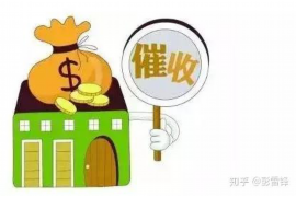 华宁华宁的要账公司在催收过程中的策略和技巧有哪些？